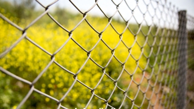 Galvanizli Tel Örgü